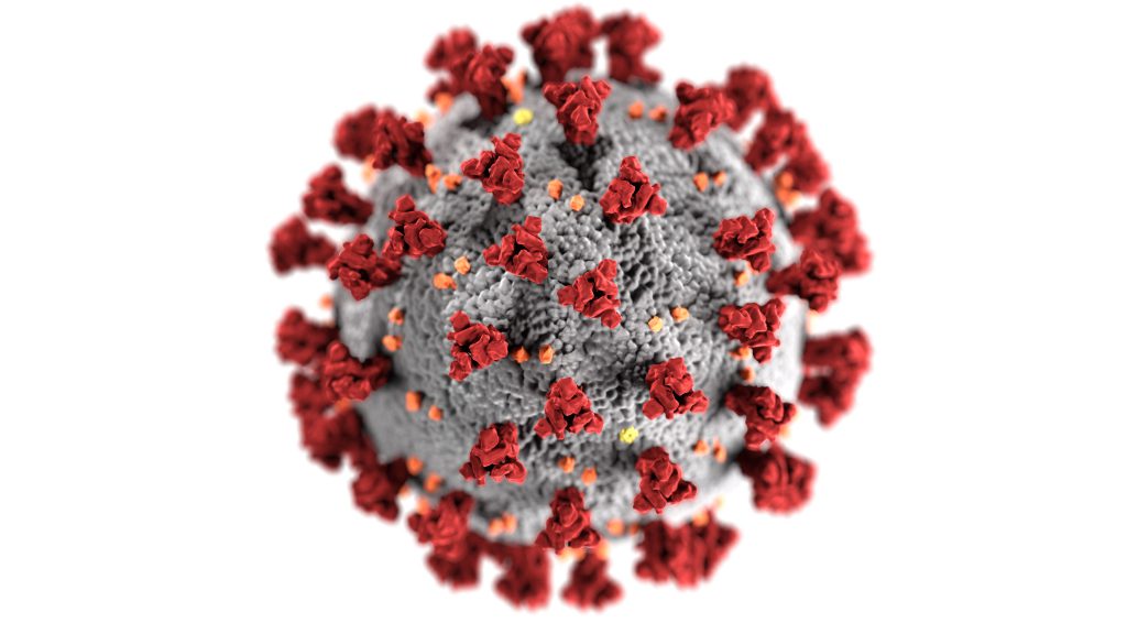 A magnification of the Covid-19 virus.