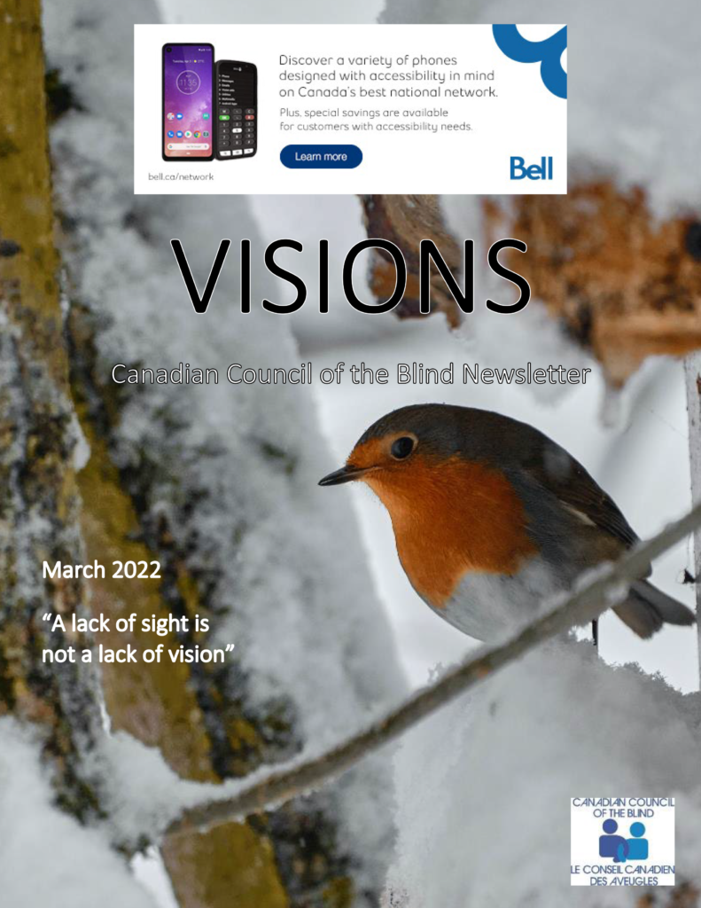 Cover of the VISIONS Newsletter featuring an english robin sitting on a snowy tree.