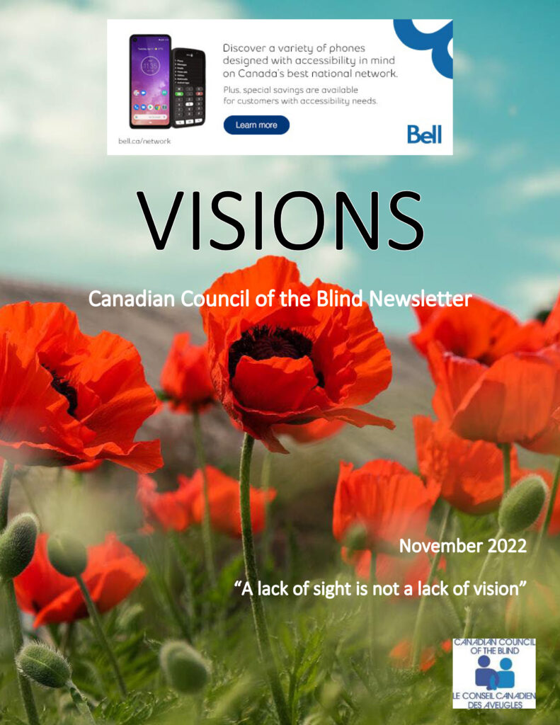 Cover of the VISIONS November featuring poppies.