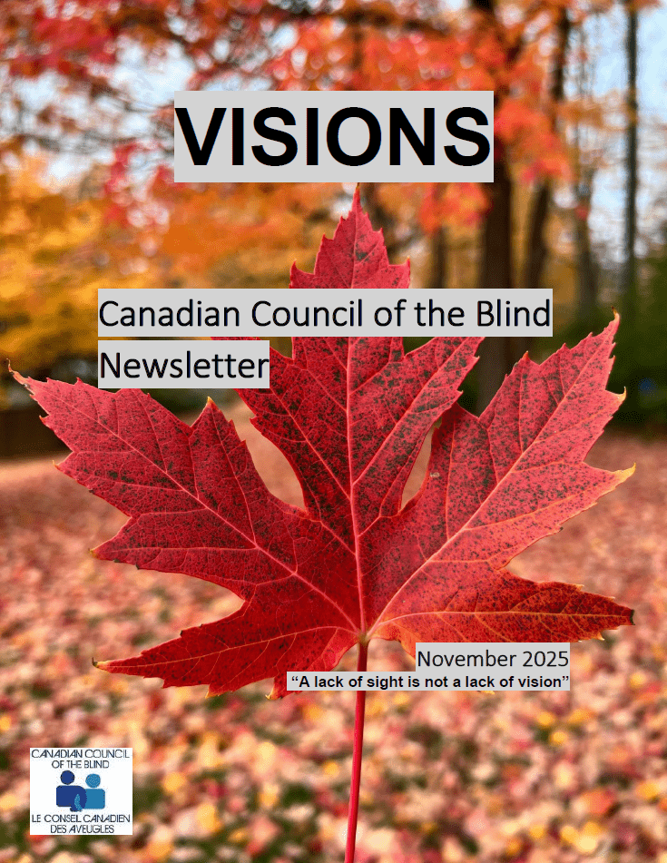 Closeup of a red maple leaf in front of a forest during fall, with red, orange, and yellow leaves in the background on the trees and scattered on the ground. Text from top to bottom highlighted in grey with black font reads: VISIONS, Canadian Council Of The Blind Newsletter, November 2025, "A lack of sight is not a lack of vision". The CCB logo is on the bottom left.