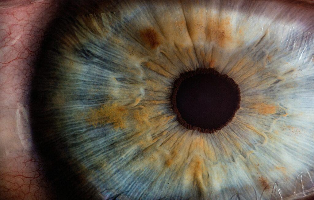 A close-up of an eye with shades of light blue and brown.